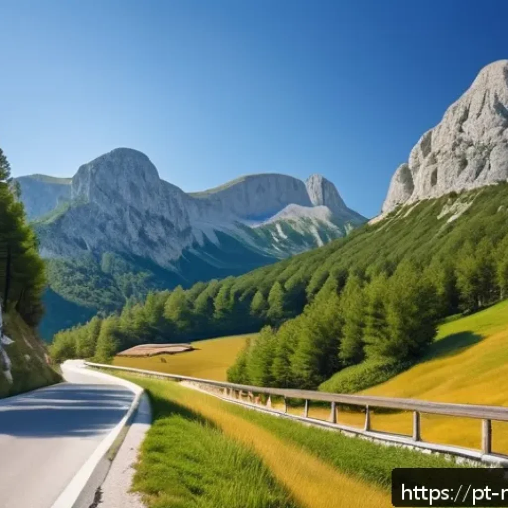 몬테네그로 드라이브 루트 - A winding mountain road cutting through the Durmitor National Park in Montenegro, surrounded by dens...