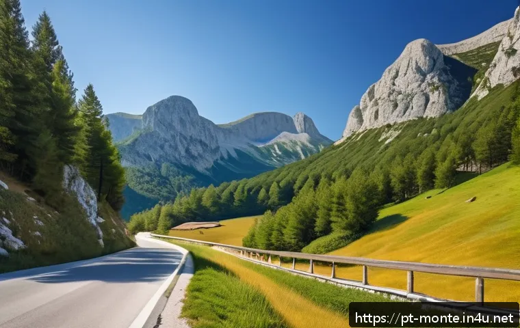 몬테네그로 드라이브 루트 - A winding mountain road cutting through the Durmitor National Park in Montenegro, surrounded by dens...